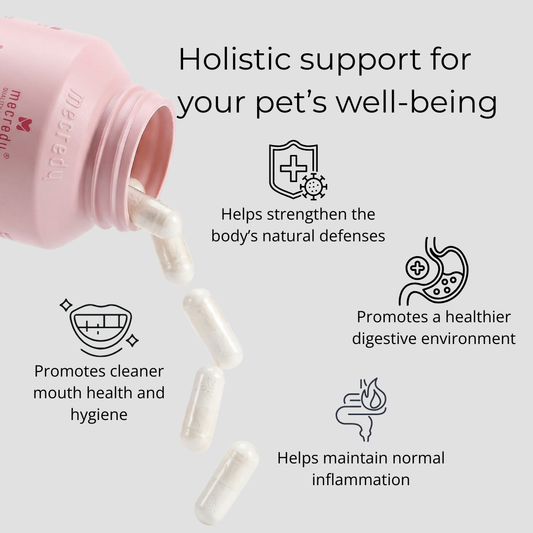 Mecredy: Lactoferrin+ Advanced Immune Support Guard