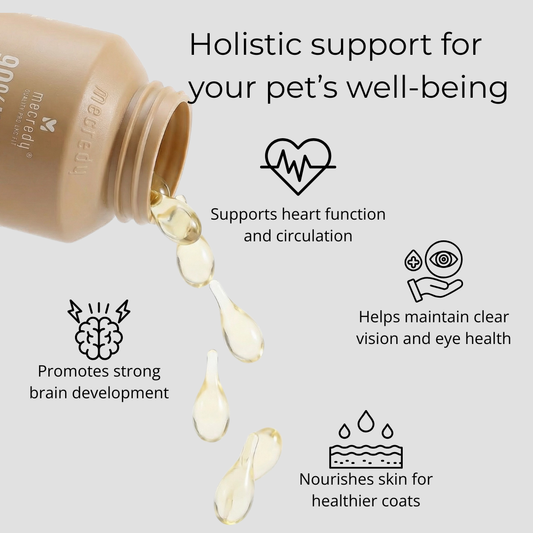 Mecredy: Omega-3 Vital Skin & Coat Support