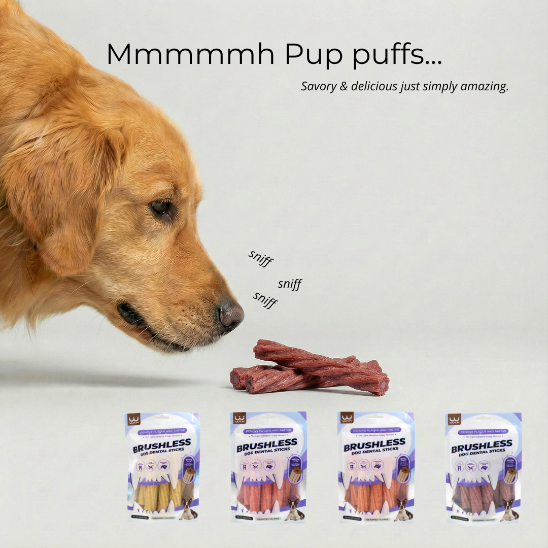 Dog sniffing a treat with 'Brushless' pet product packages below on a light gray background