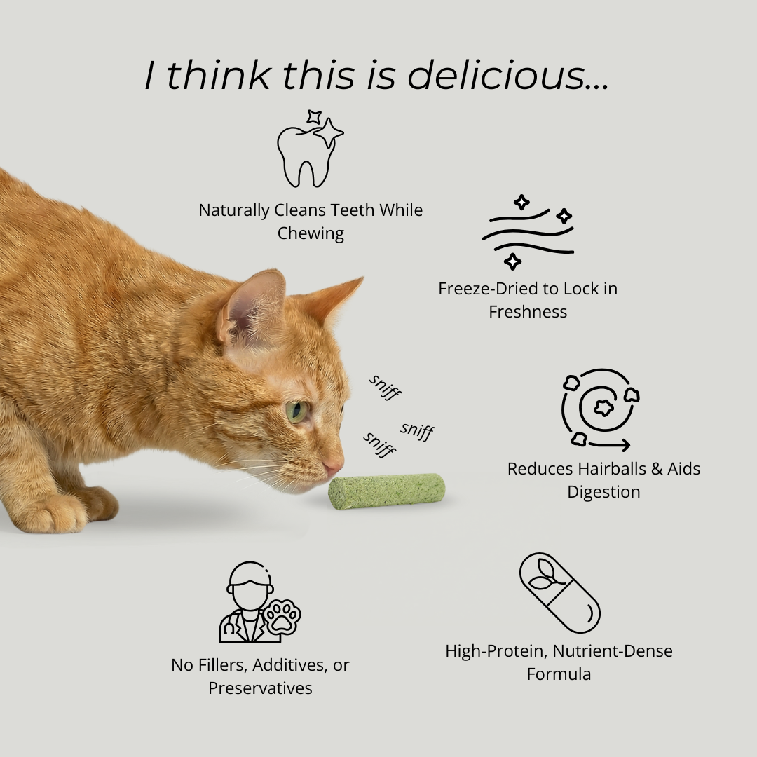 Cat examining a green treat with text about its benefits on a light gray background