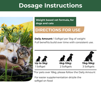 Mecredy: Omega-3 Vital Skin & Coat Support