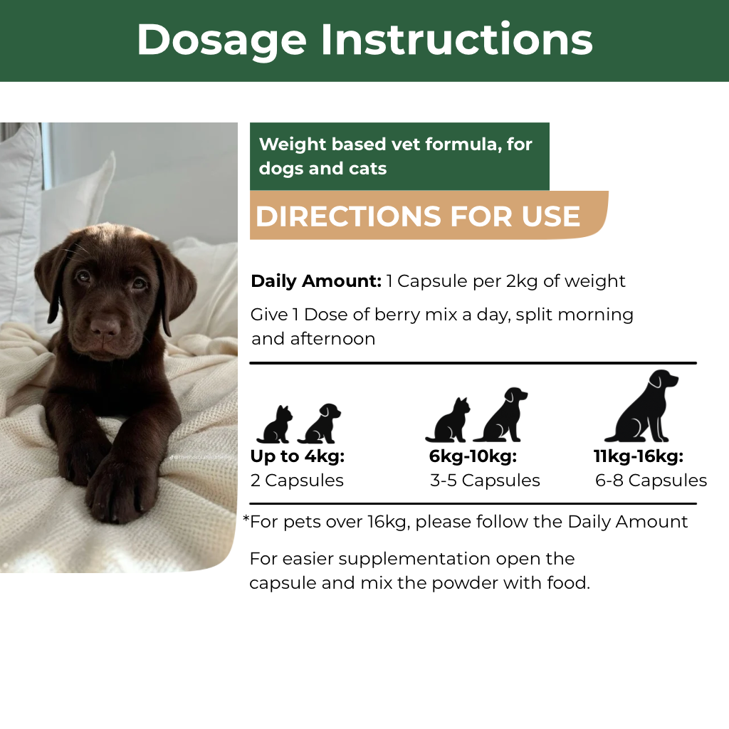 Mecredy: 5-Berry Boost Antioxidant Superfood Mix