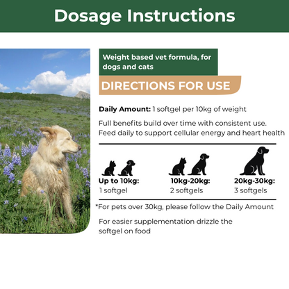 Mecredy: Heart & Energy CoQ10 Formula