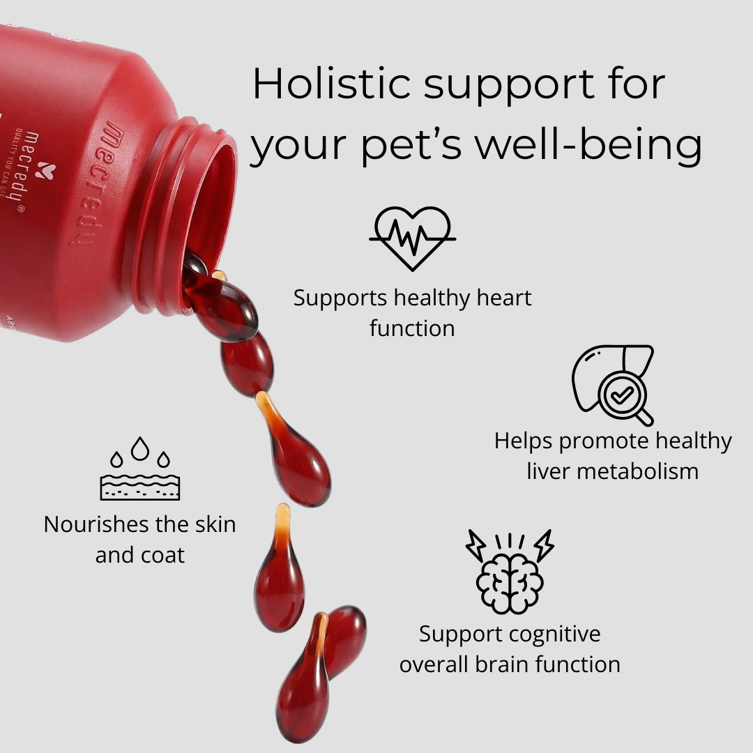 Mecredy: Antarctic Krill Oil for Heart & Mobility