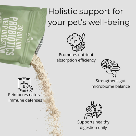 Mecredy: 30 Billion Digestion Aid