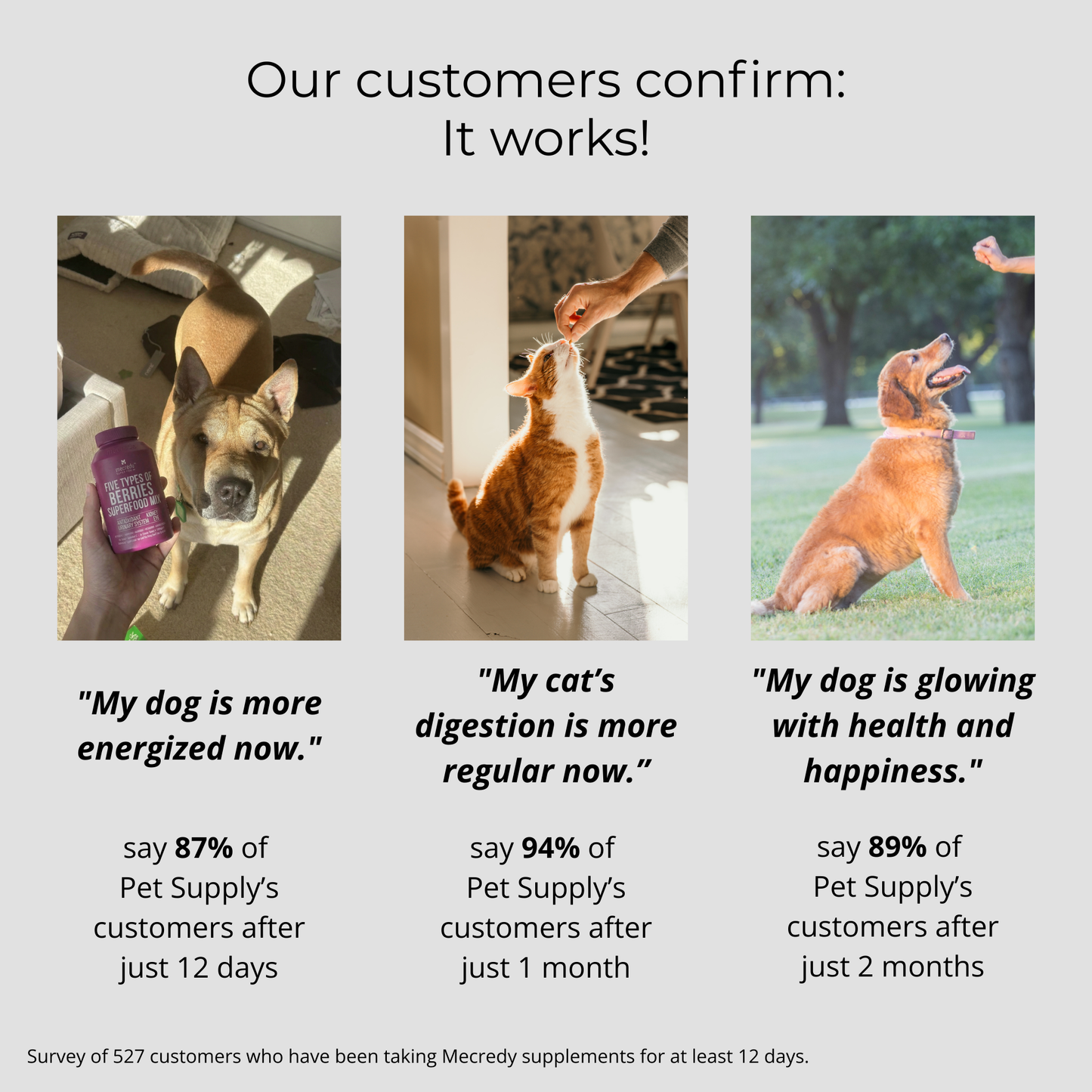 Mecredy: 5-Berry Boost Antioxidant Superfood Mix