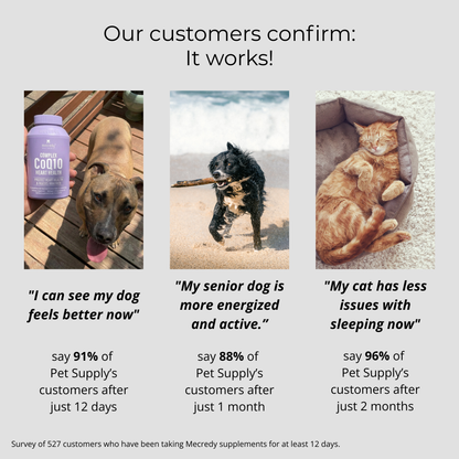 Mecredy: Heart & Energy CoQ10 Formula