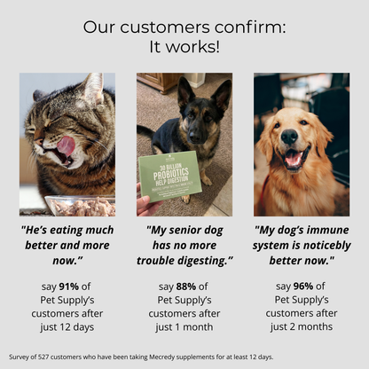 Mecredy: 30 Billion Digestion Aid